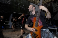 VIRULENCY